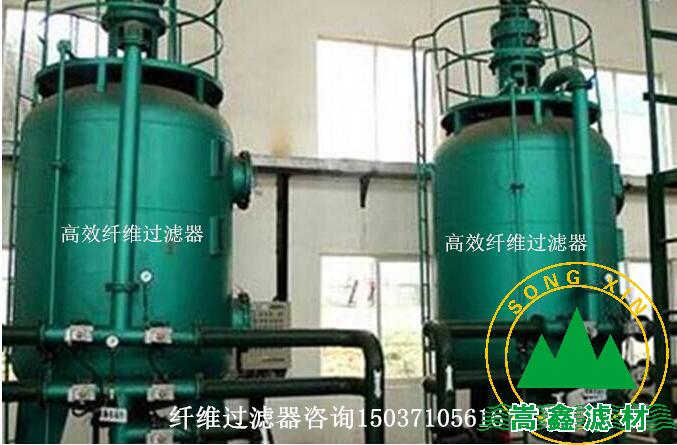 �w�S���^�V��